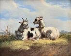 Albertus Verhoesen (1806-1881) - Twee geiten