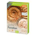 SINTERKLAAS CADEAU Uithakset met 4 échte fossielen, Ophalen of Verzenden, Nieuw, Ontdekken