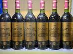 1982 Château Cap dOr - Saint-Georges-Saint-Émilion - 6, Verzamelen, Wijnen, Nieuw