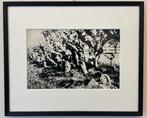 Mario Giacomelli - Dalla serie su: Caroline Branson da