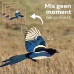 2dekans | EarthVision Wildcamera Falcon - Nachtzicht -, Ophalen of Verzenden, Zo goed als nieuw