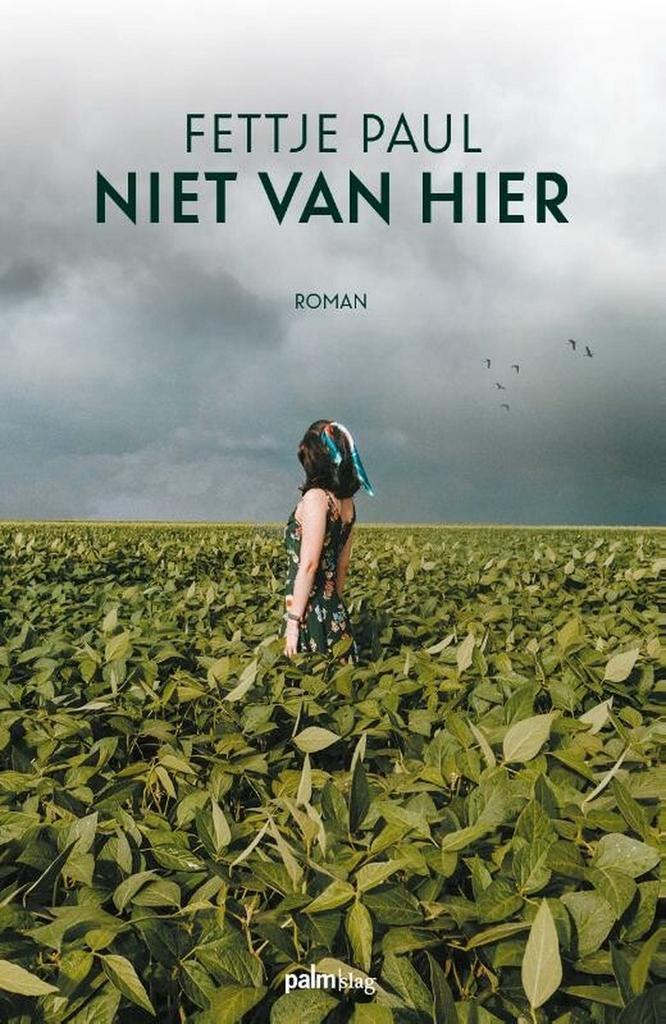 Niet van hier 9789493245174 Fettje Paul, Boeken, Literatuur, Zo goed als nieuw, Verzenden