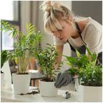 LED Plantengroeilamp VERDI V2 Zwart 5W 1300K - USB - Time..., Ophalen of Verzenden, Nieuw