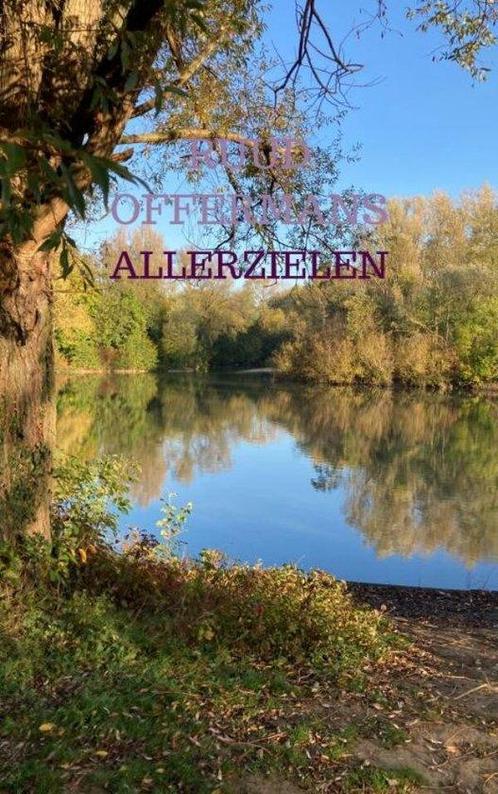9789403682839 Allerzielen Ruud Offermans, Boeken, Studieboeken en Cursussen, Nieuw, Verzenden