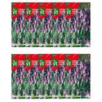 Lavendel zaad | VT | 10 stuks, Tuin en Terras, Bloembollen en Zaden, Verzenden