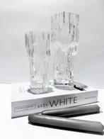 Iittala - Tapio Wirkkala - Vaas (2) - havermout - Bevroren