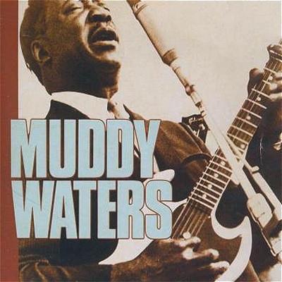 cd - Muddy Waters - Muddy Waters, Cd's en Dvd's, Cd's | Overige Cd's, Zo goed als nieuw, Verzenden