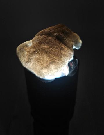 Agni Manitite beschikbaar voor biedingen