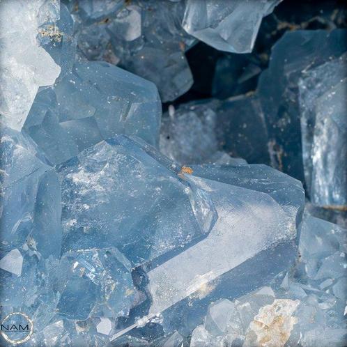 Natuurlijke Celestiet Druzen/vrije vorm- 6433.81 g, Verzamelen, Dierenverzamelingen