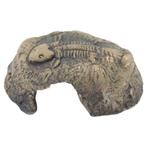 CeramicNature Fossil Stone 14x13x6cm, Dieren en Toebehoren, Nieuw, Ophalen of Verzenden