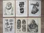 Diderot & DAlembert (XVIII) - 5 koper gravures Anatomie &