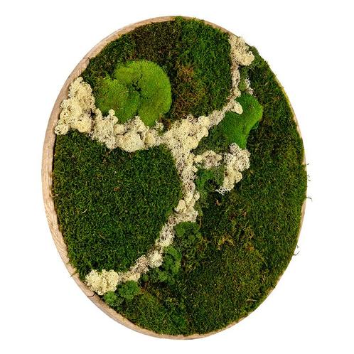Vintlux Mosschilderij Rond Ongelakt Eiken - Svendborg Latte, Huis en Inrichting, Woonaccessoires | Wanddecoraties