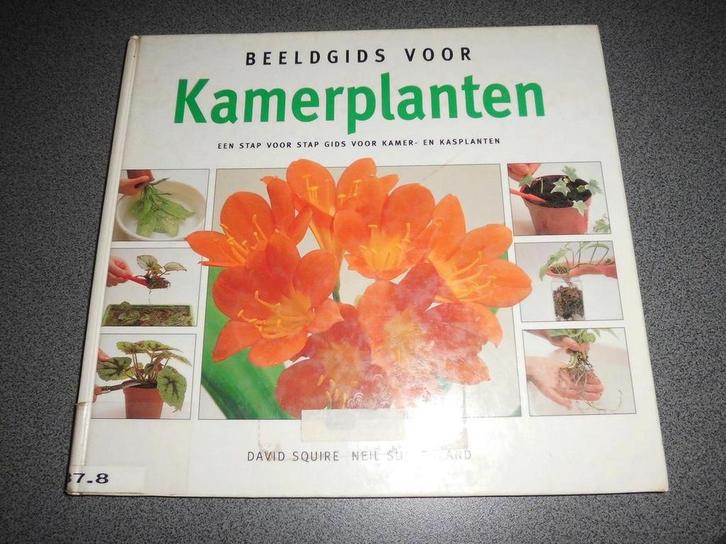 BEELDGIDS VOOR KAMERPLANTEN 9789036608084 Squire, Boeken, Hobby en Vrije tijd, Gelezen, Verzenden