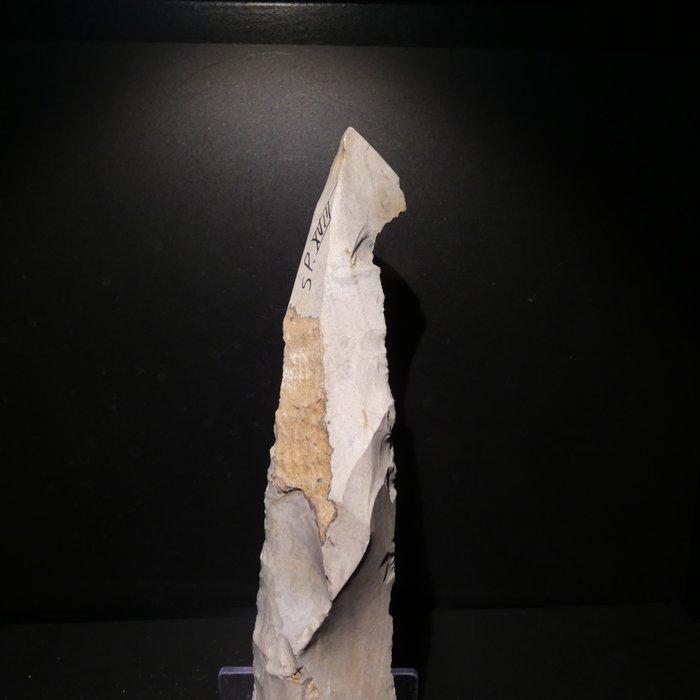 Neolithisch Flint. 19,5 cm L. Mes - 5000 v.Chr. Bijl (Zonder, Antiek en Kunst, Antiek | Overige Antiek