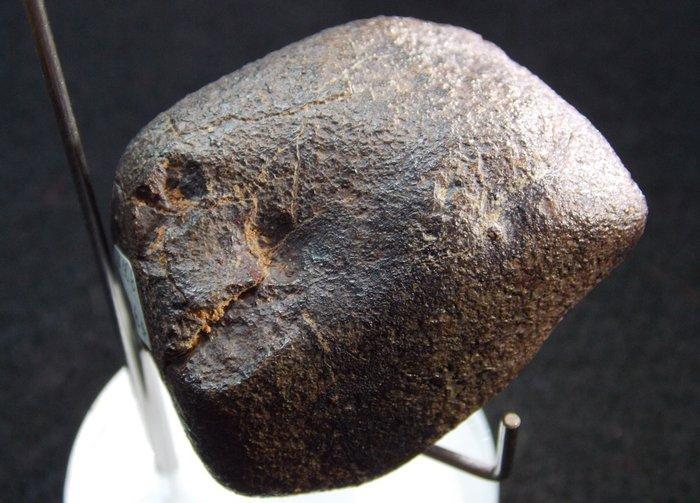 Belle meteoriet chondriet - Hoogte: 54 mm - Breedte: 52 mm -, Verzamelen, Mineralen en Fossielen