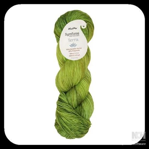 Scheepjes terra variegated merinowol kleur 2032, Hobby en Vrije tijd, Breien en Haken, Breien of Haken, Wol of Garen, Nieuw