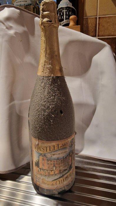 Kasteel - 1989 (1st edition) - 75cl, Verzamelen, Wijnen