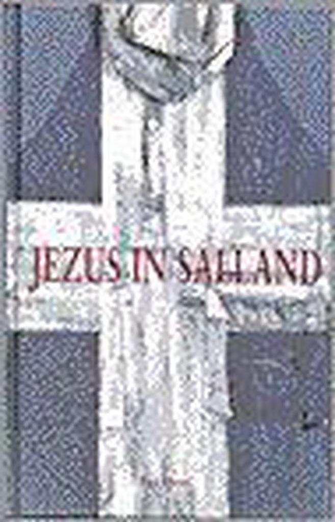 JEZUS IN SALLAND 9789025947644 HEIDEVELD, Boeken, Godsdienst en Theologie, Gelezen, Verzenden