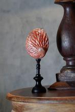 Decoratief ornament - NO RESERVE PRICE - Pair of decorative, Antiek en Kunst