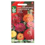 Bloemzaden Zinnia | VT (Gemengd), Verzenden