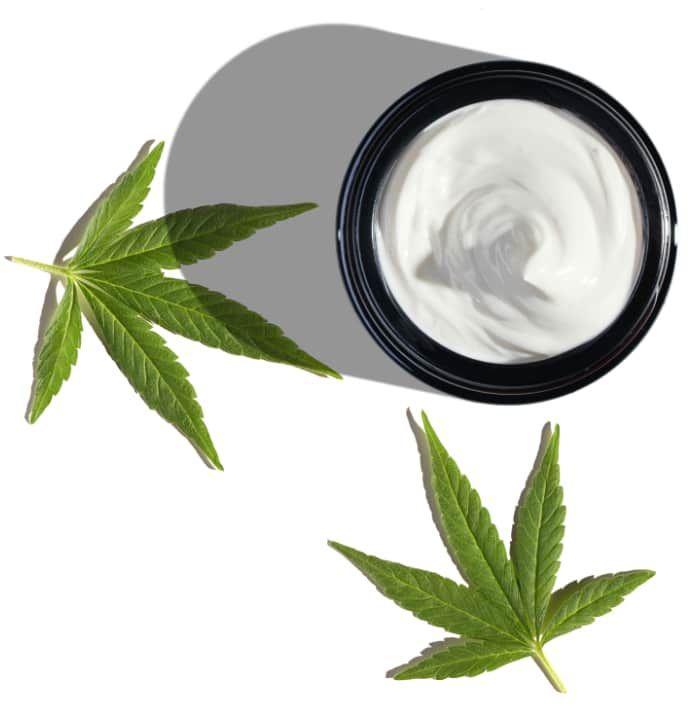 Bio CBD Hyaluronzuur Voedende Gezichtscrème SPF25 50ml, Sieraden, Tassen en Uiterlijk, Uiterlijk | Gezichtsverzorging