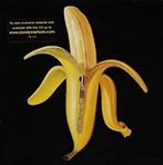 cd - Dandy Warhols - Welcome To The Monkey House, Cd's en Dvd's, Verzenden, Zo goed als nieuw