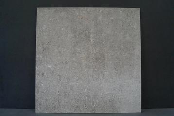 La Roche – Grey – Vloertegel – 80x80cm – Mat – 742711 beschikbaar voor biedingen
