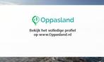 Ik ben Nynke, 17 jaar oud en ik zoek oppaswerk in Mill.