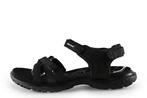 Ecco sandalen in maat 40 Zwart | 25% korting, Kleding | Dames, Schoenen, Ecco, Verzenden, Zwart, Sandalen of Muiltjes