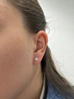 Oorbellen - 18 karaat Geel goud - 0.31ct. tw. Diamant, Sieraden, Tassen en Uiterlijk, Oorbellen, Nieuw