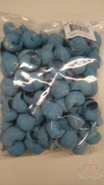 Landsnail small turquoise 250 gram geverfde landslak, Ophalen of Verzenden, Nieuw