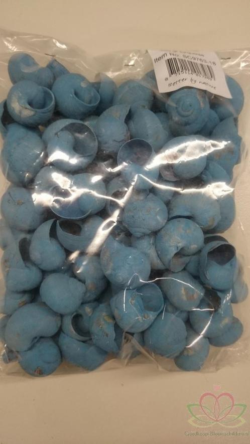 Landsnail small turquoise 250 gram geverfde landslak, Hobby en Vrije tijd, Knutselen, Nieuw, Ophalen of Verzenden