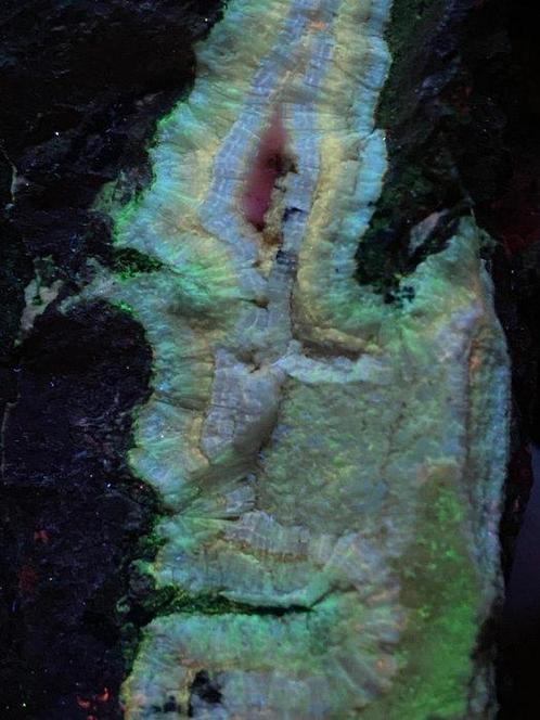 Zeer zeldzame stralende willemite met calciet uit Puttapa, Verzamelen, Mineralen en Fossielen