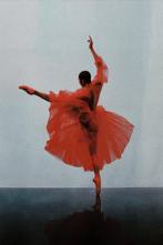 Nik Haku - Scarlet Suspension XL