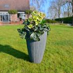 Plantenbak Fiberclay  Ø 51 x H 82 cm Antraciet, Verzenden, Nieuw, Rond