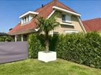 Palmen, Olijfbomen, Bamboe, Yuccas, accessoires (korting*)