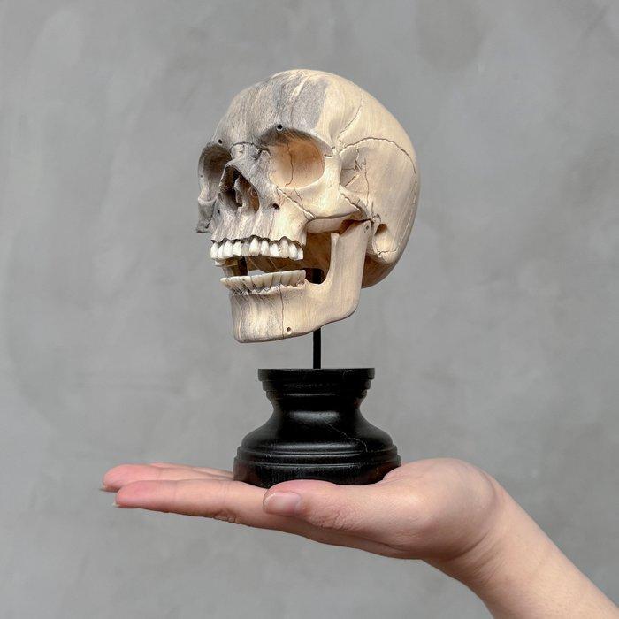 Snijwerk, NO RESERVE PRICE - Stunning Wooden Human Skull, Antiek en Kunst, Kunst | Designobjecten