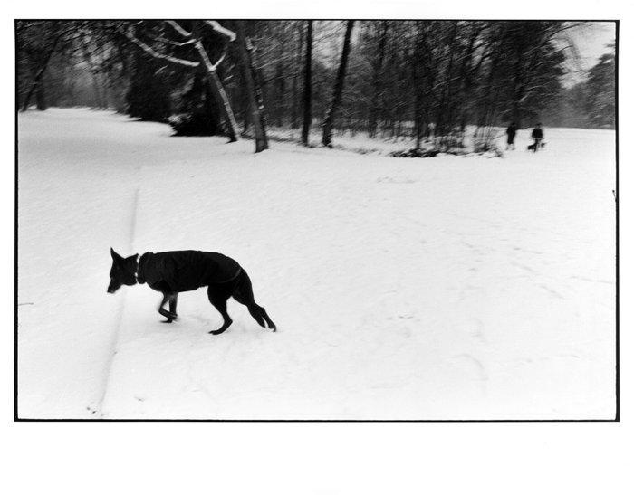 JM SIMOES - Paris Hunter, Antiek en Kunst, Kunst | Designobjecten