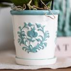 Kolibri Company | Plantenset Witte Phalaenopsis Orchidee Ama, Verzenden