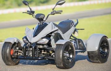 100% elektrische STREET QUAD met KENTEKEN (autorijbewijs B)