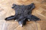 Zwarte beer Taxidermie volledige montage - Ursus americanus, Verzamelen, Dierenverzamelingen, Nieuw