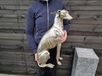 Beeld, XL Greyhound Dog Silver - New - 53 cm - Hars, Antiek en Kunst