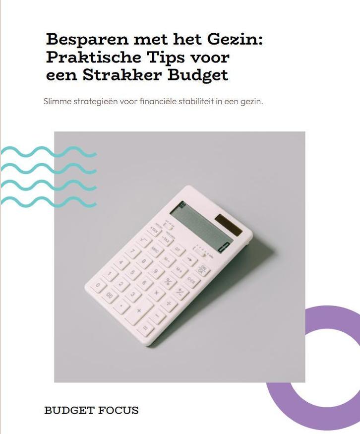 Besparen met het gezin praktische tips voor strakker budget, Boeken, Advies, Hulp en Training, Nieuw