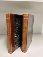 Ernst Haeckel - Anthropogenie oder Entwickelungsgeschichte, Antiek en Kunst