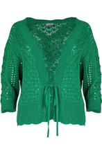 -30% Maicazz  MAICAZZ Knits by fonny vest apple su23.65.212, Kleding | Dames, Truien en Vesten, Verzenden, Nieuw, Groen