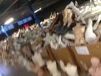poppen onderdelen van etalagepop etalagepoppen mannequins