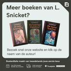 Het rampzalige raam / Ellendige avonturen / 3 9789021615400, Verzenden, Gelezen, L. Snicket