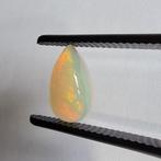 1 pcs Opaal - 5.58 ct - Antwerp Laboratory for Gemstone, Sieraden, Tassen en Uiterlijk, Edelstenen, Nieuw