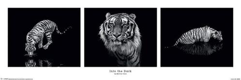 Poster Marina Cano Into the Dark 91,5x30,5cm, Verzamelen, Posters, Nieuw, A1 t/m A3, Verzenden