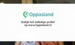 Rianne zoekt een oppas in Dordrecht voor 2 kinderen.